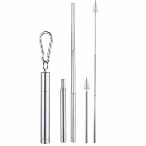 Silver Collapsible Straw Set